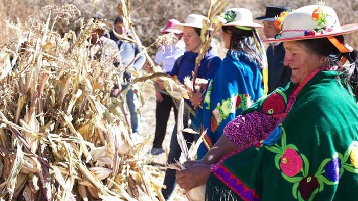 Mujeres de Caspalá