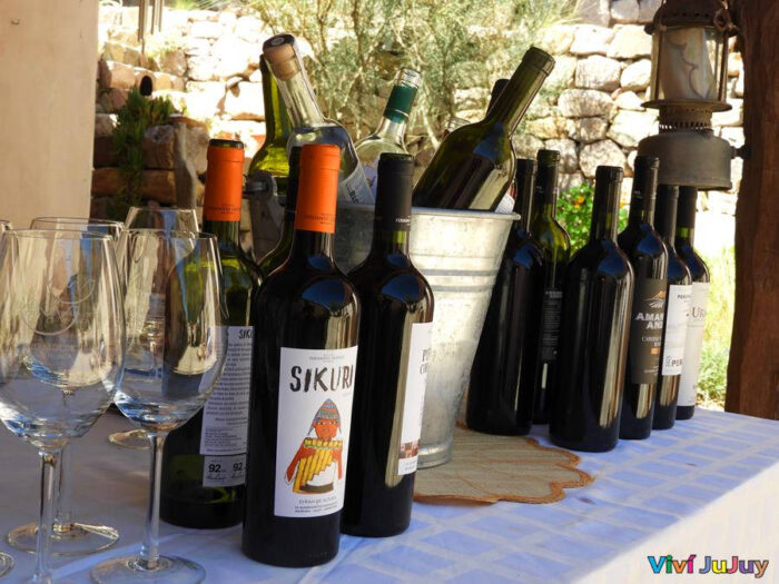 Vinos de altura Jujuy