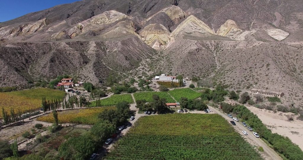 Bodega Fernando Dupont panoramica