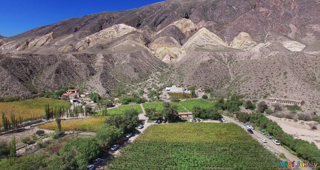 Bodega Fernando Dupont al pie de La Paleta del Pintor en Maimará