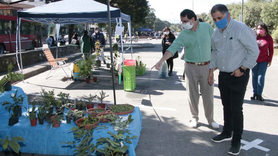 Paseo de las plantas