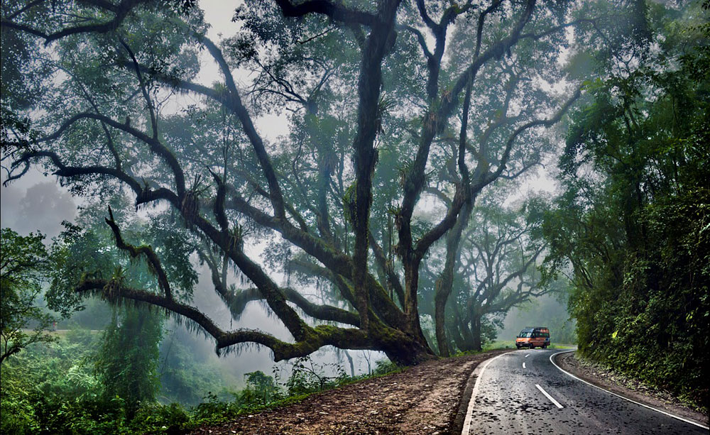 Parque Nacional Calilegua