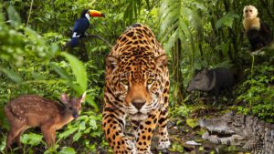 Parque Nacional Calilegua