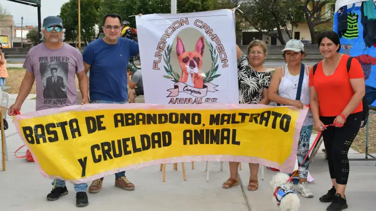 Primavera Canina