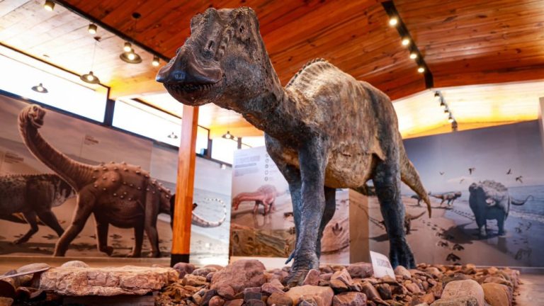 Maimará suma un nuevo atractivo: inauguraron el Centro de Interpretación de Huellas de Dinosaurios