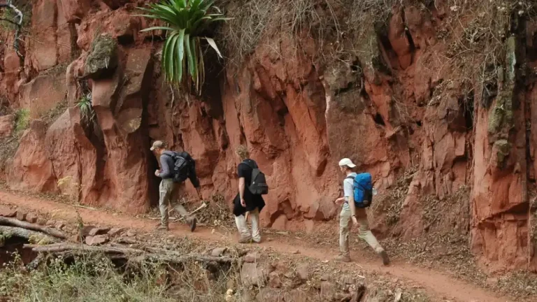 Curso WFR en Jujuy: abrieron las inscripciones para guías de turismo