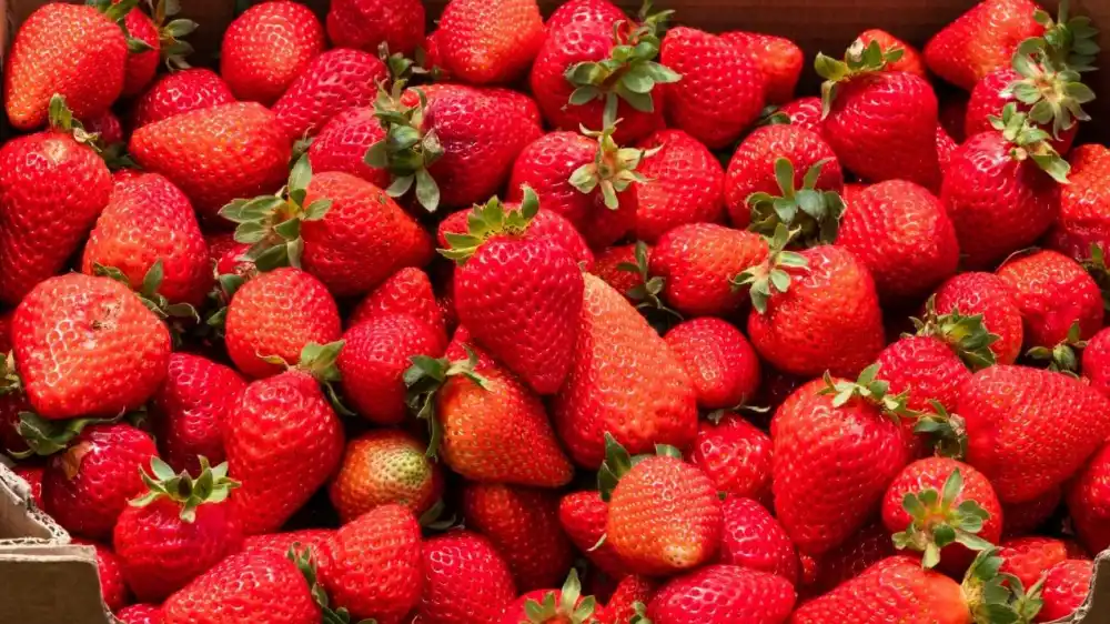 frutillas